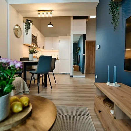 Gorska Przystan - Laguna Beskidow Apartment